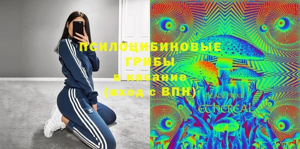 гидра Балахна