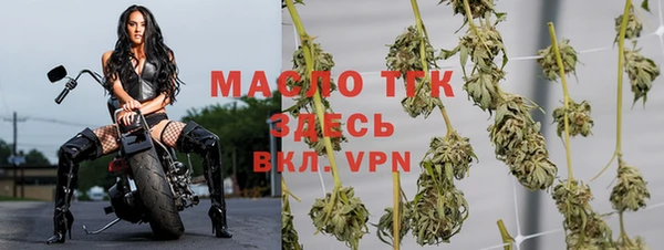 гидра Балахна