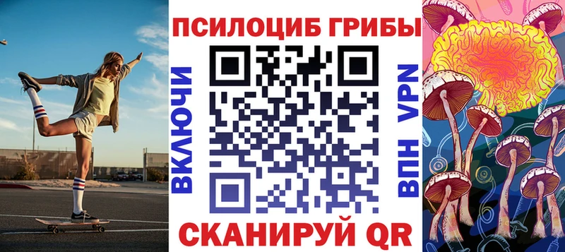 где купить наркоту  Усть-Лабинск  гидра ССЫЛКА  Псилоцибиновые грибы мицелий 